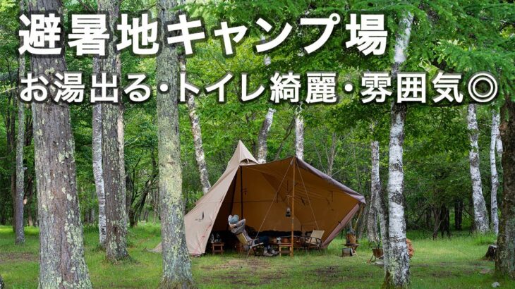 【夏おすすめキャンプ場】姫木平ホワイトバーチキャンプフィールド／標高1300mで涼しい