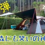 初心者が夏キャンプで2泊3日☀️森の課外授業🌳