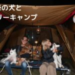 『ファミリーキャンプ』我が家の可愛い3匹の犬とキャンプ＃2