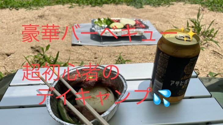 【キャンプ#4】サンシェードの設営🏕インスタントBBQコンロでバーベキュー🍖超初心者のソロキャン💦(デイキャンプ)