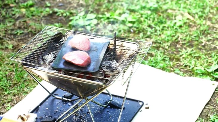 キャンプ初心者が焚き火で肉を焼いたら見事に失敗！/ASMR/Grilled meat