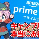 【Amazonプライムデー】キャンプ道具どれが本当にお得？気になる商品調べてみた【Vtuber/狸原ことね】