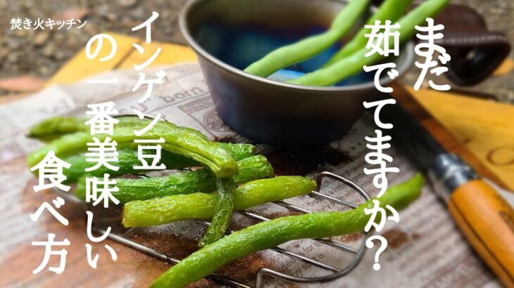 いんげん豆の美味しい食べ方BGMなし【メスティン】キャンプ飯