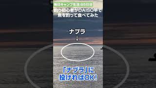 釣り初心者がDAISO釣りセット魚を釣って食べてみた！ #shorts