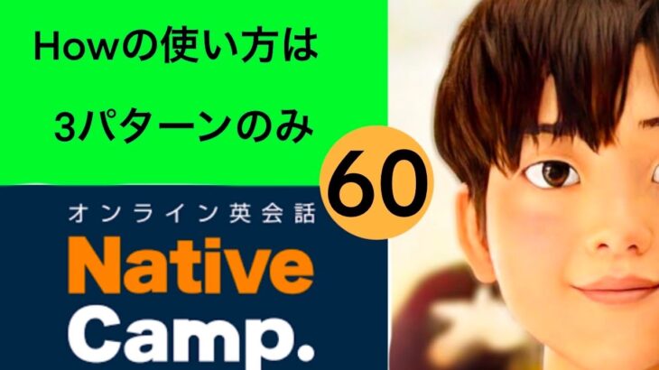 Native Camp（ネイティブキャンプ）初心者トータルレッスン時間: 39時間 14分