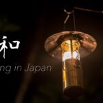 ブナの原生林でキャンプ。ご飯と味噌汁と漬物を食べる。山賊のキャンプ飯camping in japan