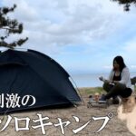 夏キャンプを楽しんでたら真夜中に忍び寄る小さな影が…/野良猫/ソロキャンプ/キャンプ/solo camping/camping/徒歩キャンプ/高木浜オートキャンプ場/Stray cat