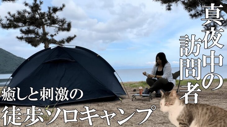 夏キャンプを楽しんでたら真夜中に忍び寄る小さな影が…/野良猫/ソロキャンプ/キャンプ/solo camping/camping/徒歩キャンプ/高木浜オートキャンプ場/Stray cat