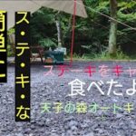 【初心者ソロキャンプ】家でも時短簡単お弁当のおかずにもなるステーキを焼く【天子の森オートキャンプ場】野菜でローキャロリー#キャンプ#ソロキャンプ#ゆるキャン△#公開記念要素あり△#外飯#外呑み