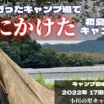 【ソロキャンプ】初夏のキャンプで三途の川が見えたソロキャンプ