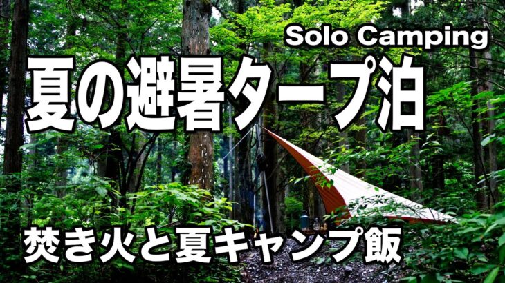 【ソロキャンプ】川の流れる林間避暑地でタープ泊 大切な思い出夏キャンプ 焚き火と夏のキャンプ飯 ムササビウイング ジムニー