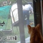 初心者がやる庭キャンプ