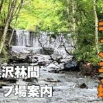 【ソロキャンプ】沢の前で涼しい夏キャンプ！あさひプライム【野俣沢林間キャンプ場】