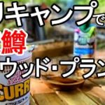 【ニジマス】高ソメキャンプ場で釣りソロキャンプ【ウッドプランクグリル】