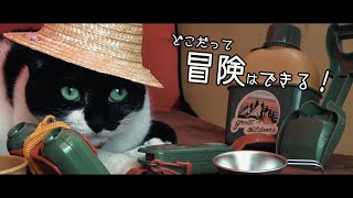 初心者ニャンパー初めてキャンプをする猫【中編】