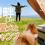 【湖畔でキャンプ】琵琶湖六ツ矢崎浜オートキャンプ場で愛犬とキャンプ