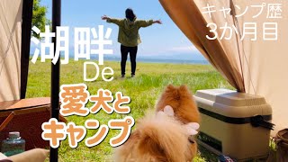 【湖畔でキャンプ】琵琶湖六ツ矢崎浜オートキャンプ場で愛犬とキャンプ