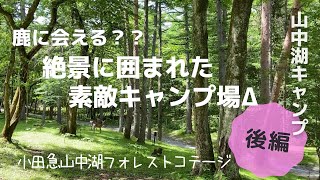 【初心者キャンプ】山中湖フォレストコテージで鹿に会える⁇ 絶景に囲まれた素敵キャンプ場Δ