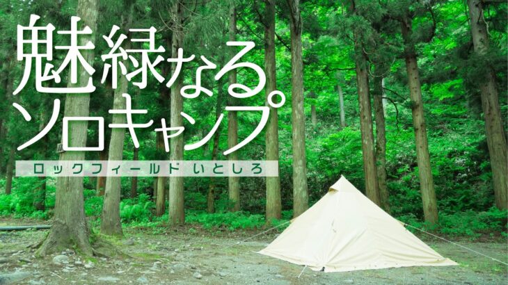 【ソロキャンプ】新緑に囲まれた森のキャンプ場で、ひとり焚き火料理に挑戦。