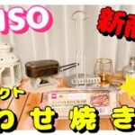 ダイソー新商品　キャンプコーナーのコンパクト焼き網活用法♪【100均キャンプ道具】女子ソロキャンプ