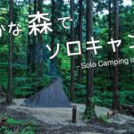 標高1000mの静かな林間サイトでキャンプ飯。夜に台風が襲撃して・・・【Solo Camp】