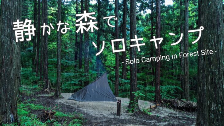 標高1000mの静かな林間サイトでキャンプ飯。夜に台風が襲撃して・・・【Solo Camp】