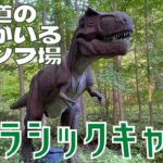 【はじめてのキャンプ】北海道の恐竜がいるキャンプ場🦖6歳そうちゃんとママで行く「ジュラシックキャンプ」は初心者すぎたけど楽しかった！