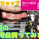 【ダイソー】自宅で夏を満喫！ダイソーのキャンプ用品で室内BBQしてみた【ぼっちでも寂しくなんかないよ】