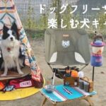 たまに行くならこんな犬キャンプ〜Camping Dog〜女子ソロキャンプ