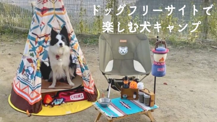 たまに行くならこんな犬キャンプ〜Camping Dog〜女子ソロキャンプ