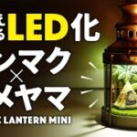 テンマク×カメヤマ クラシックランタンミニのLEDランタン化 ソロキャンプ、ファミリーキャンプに使えるキャンプ道具 オススメのキャンドルランタン 100均でキャンプ場の様な雑貨風ランタンにハンドメイド