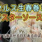 【週末里山料理VLOG】ピクルス生春巻きとオイスターソース炒め【プラベキャンプ場と猫と糖尿病食】心が重い日は簡単な料理