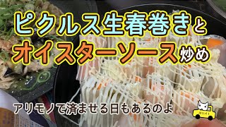 【週末里山料理VLOG】ピクルス生春巻きとオイスターソース炒め【プラベキャンプ場と猫と糖尿病食】心が重い日は簡単な料理