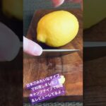 日本刀みたいなナイフで料理しました♪キャンプナイフで料理&レビューしてるよ🔪#shorts