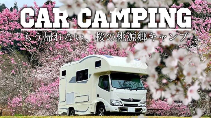 【お花見キャンプ】桜の下で焚き火と料理｜キャンピングカー車中泊