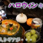 お気に入りガレージブランドキャンプギアでハロウィンキャンプ料理【ウェルキャンプ西丹沢】