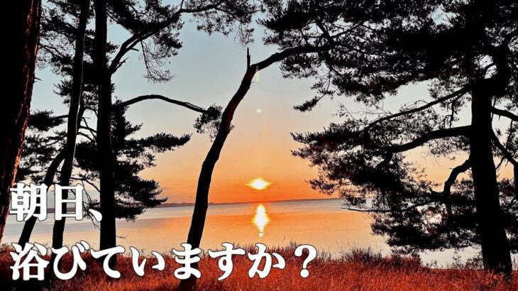 【ソロキャンプ】忙しい毎日、ゆっくり朝日、浴びていますか？青森県 東北町 わかさぎ公園浜台キャンプ場。