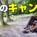 【ソロキャンプ】真夏の森の中⛺焚き火とレモンサワーで乾杯🍺