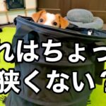 【失敗】追加購入したキャンプ道具はチョイスミス！忘れてた、あのアイテムも！［しゃべる犬 ジャックラッセルテリア］