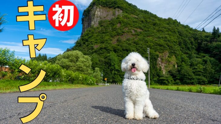 【犬とキャンプ】新潟県三条市にある八木ヶ鼻オートキャンプ場に行ったら最高だった!!