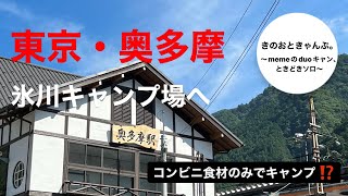 【ソロキャンプ】氷川キャンプ場　コンビニ食材で楽々キャンプ