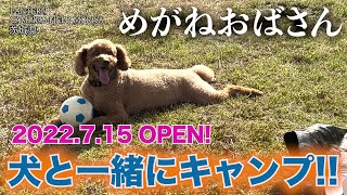 「めがねおばさん」犬と一緒に初めてのキャンプ🔥夜になっておじさんわんこはテントでぐっすり💤めがねおばさんは暑さでグッタリ🛌