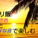 【ゼロから始めるキャンプ】焚き火でひたすら肉料理する２