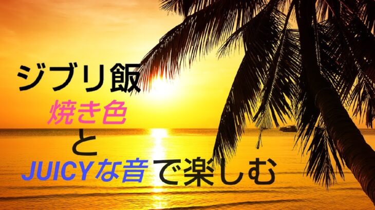 【ゼロから始めるキャンプ】焚き火でひたすら肉料理する２