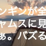 【ファミリーキャンプ】人気湖畔キャンプ場の絶景におはよう世界！朝食はホットサンドソロにココロオドル！ここだけの話キャンパーが動物園で白熊みたら全員ノルディスクに見えるってマ？！