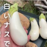 白いナスで白いアレを作って食す！野外料理