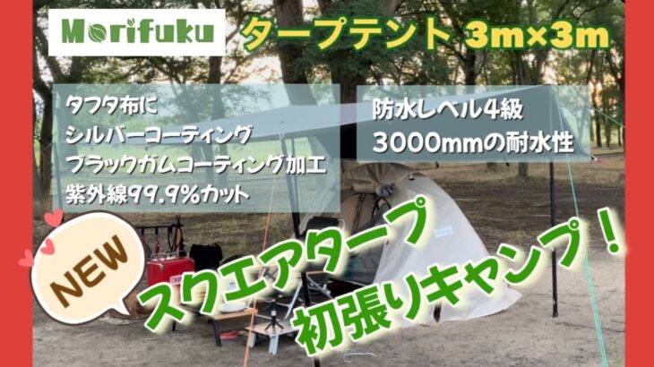 【キャンプ道具】タープ購入後、初張りまで半年もかかるなんて⁉︎〜 その訳には こんなことが…