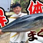 巨大マグロをキャンプで解体して豪快料理!!