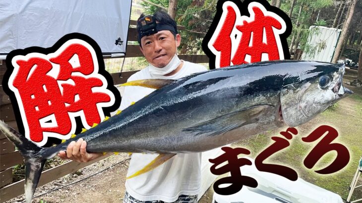 巨大マグロをキャンプで解体して豪快料理!!