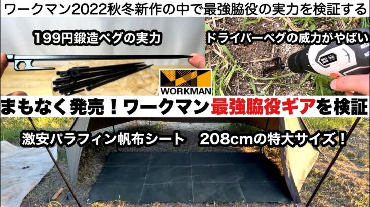 ワークマンまもなく発売の最強脇役アイテムを検証【キャンプ道具】鍛造ペグ　パラフィン帆布ロングフィールドシート